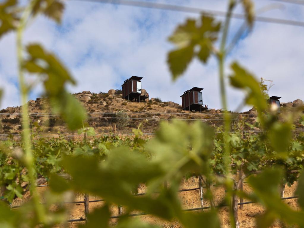 Encuentro Guadalupe Valle de Guadalupe Exterior foto